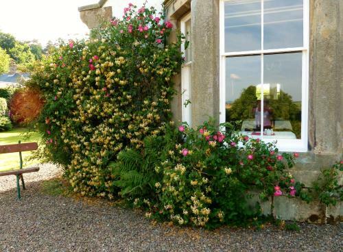 Firwood Country Bed And Breakfast