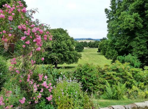Firwood Country Bed And Breakfast