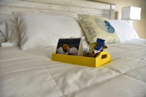 The Yellow Rose Of Talbot Bed And Breakfast