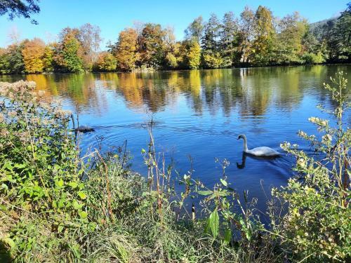 Apartamento Ferienwohnung -main- Ruheplatz Am Wasser