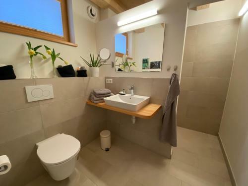 Apartamento Zachhof Niederleierndorf