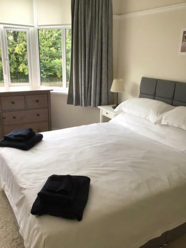 Beautiful Large 4-bed House Close To Celtic Manor