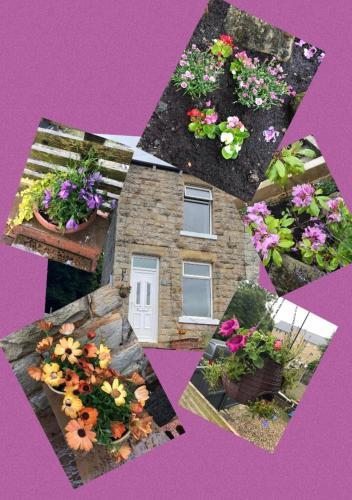 Cosy Cottage Edge Of Peak District -log Burner Uk