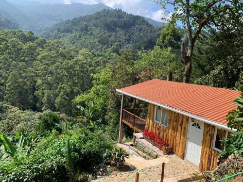 Caba�a Campestre Cerca A Ecoparque El Salado, Envigado.