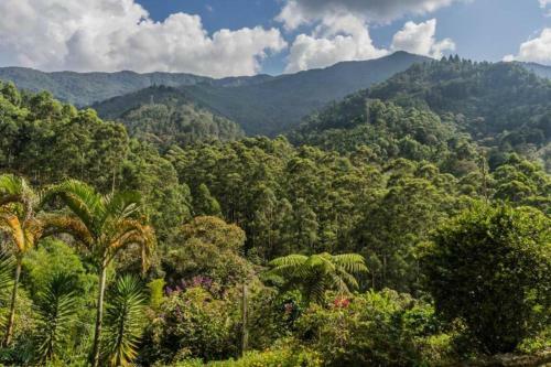 Caba�a Campestre Cerca A Ecoparque El Salado, Envigado.