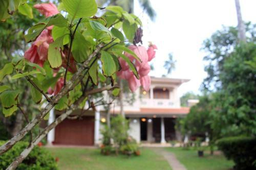 Anura Home Stay