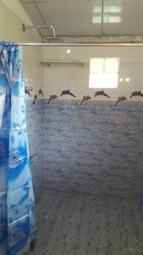Anura Home Stay