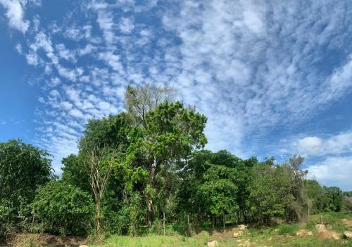 Captain's Cottage At Yala