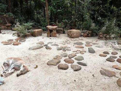 Hotel Gallene Gala Nature Resort