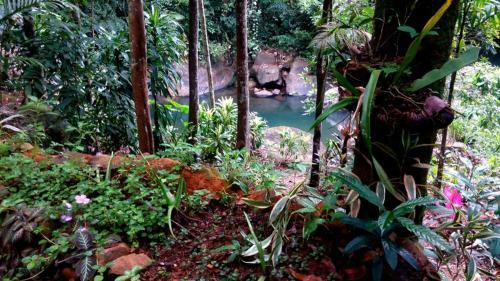 Hotel Gallene Gala Nature Resort