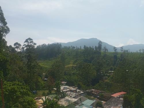 Hostal Royal Reach Resort & Holiday Bungalow
