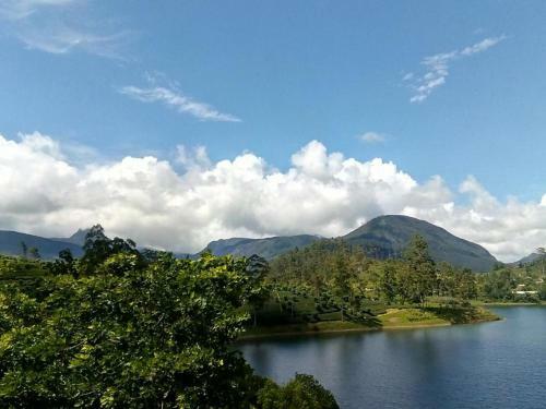 Hostal Royal Reach Resort & Holiday Bungalow