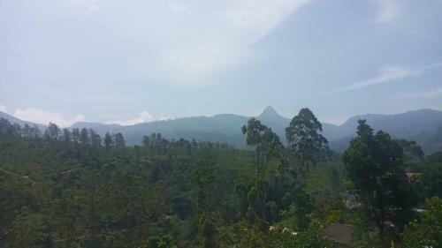 Hostal Royal Reach Resort & Holiday Bungalow