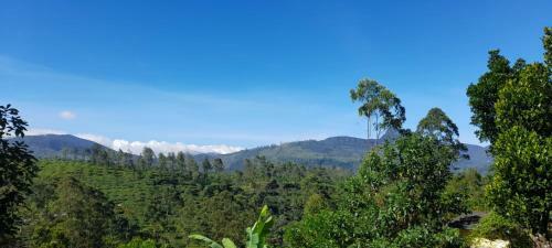 Hostal Royal Reach Resort & Holiday Bungalow