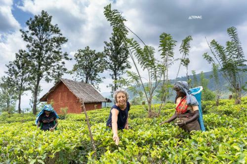 Hotel Nelinsa Resort And Spa