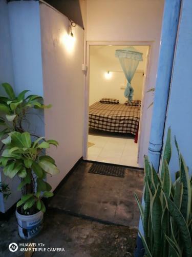 Bed & Breakfast The Ocean Villa At Surf Spot