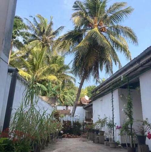 Bed & Breakfast The Ocean Villa At Surf Spot