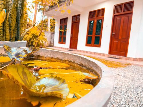 Hostal Coco Mount