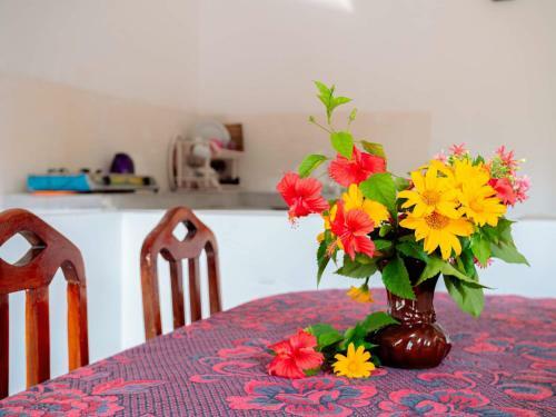 Hostal Surfing Guest House