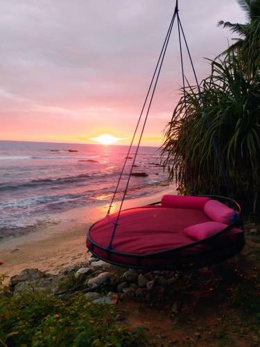 Ts2w See More Beach - Design Bungalow