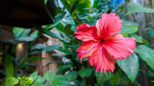 Hotel Fisheye The Rooms - Room 1