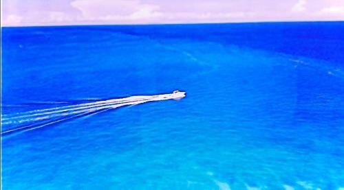 Apartamento Dreamlike Arterra Hotel-apartment Cebu Seaside