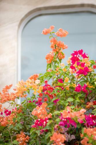 Sunrise Hotel H� Ti�n