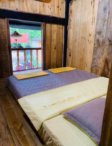 Hotel Golden Jungle House