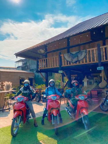 Hotel Golden Jungle House