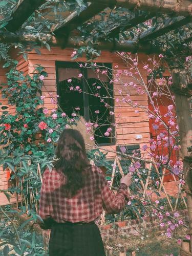 Hotel Golden Jungle House