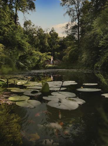 The Portmeirion Hotel & Castell Deudraeth