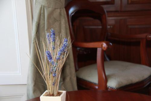 Aberdunant Hall Country Hotel