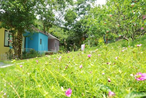 Lodge Windy Hill Catba Homestay