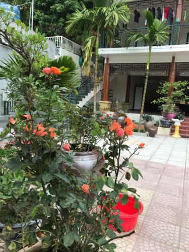 Lodge Windy Hill Catba Homestay