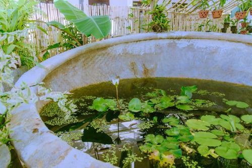 Hostal Bibo Guest House