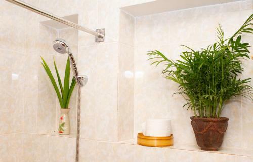 Bed & Breakfast T�m Homestay