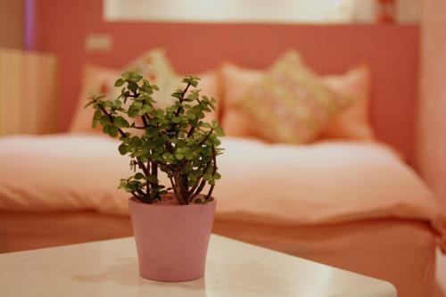 Albergue Camouflage Guest House