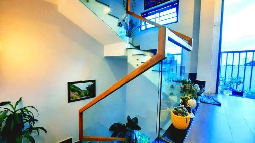 Hostal Sena Home 3*1*overlooking Danang Dragon Bridge