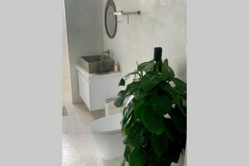 Apartamento Bougainvilla Holistic Homestay
