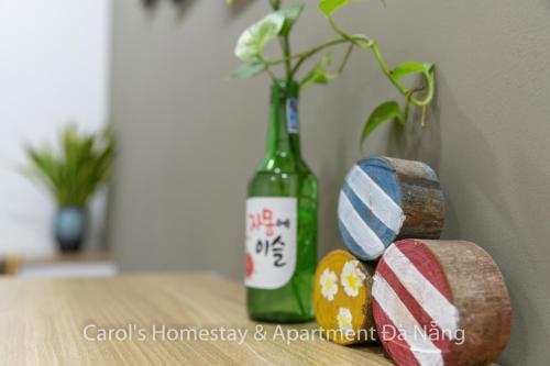 Carol Homestay & Apartment Da Nang 3