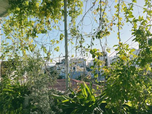 Aparthotel Nhat Linh Hotel And Apartment