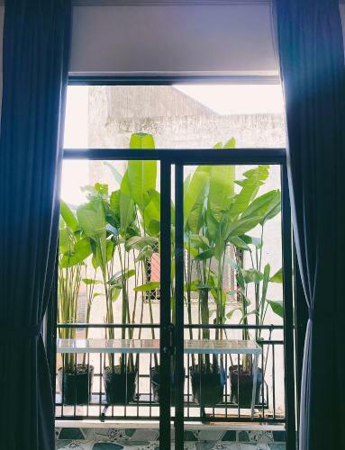 Aparthotel Nhat Linh Hotel And Apartment