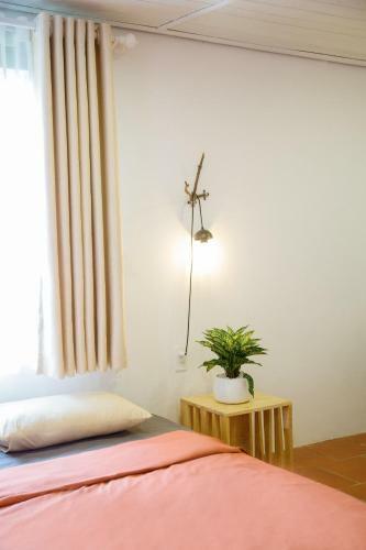 Bed & Breakfast Dalat 1893 Homestay