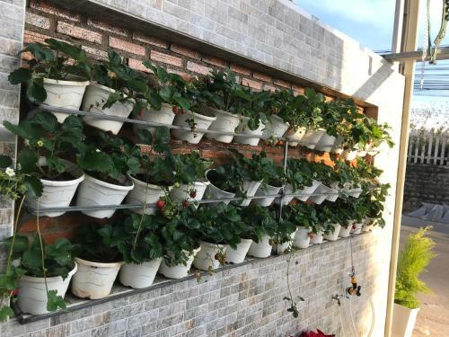 Hotel Greenview Guesthouse Dalat