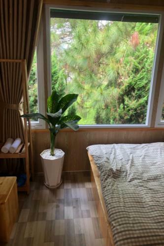 Hostal Gold&ruby House