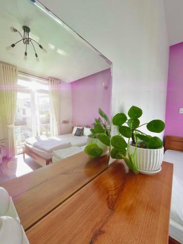 Hostal Selena Dalat Homestay