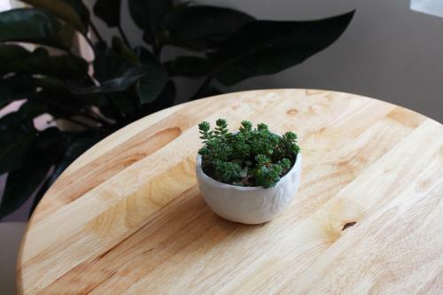 Hostal Selena Dalat Homestay