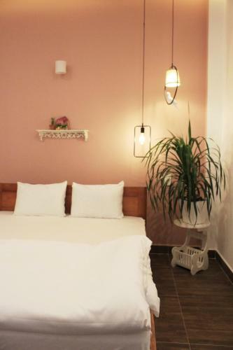 Hostal Selena Dalat Homestay