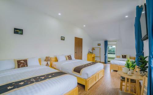 Hotel D&t Villa