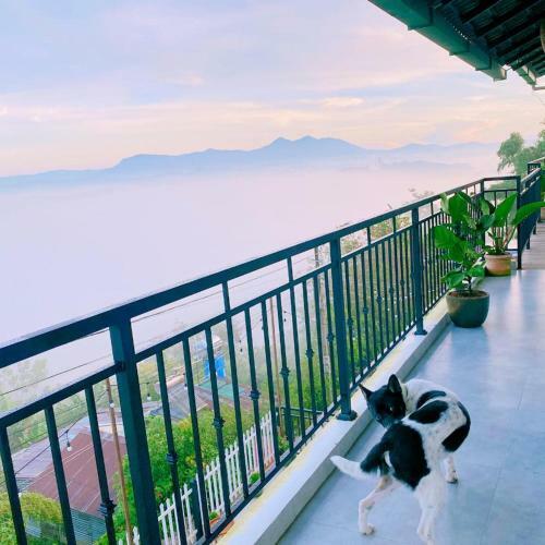 Motel Nh� M�nh Homestay